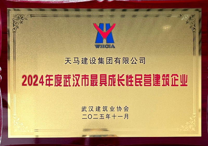2024年武漢市最具成長(zhǎng)性民營(yíng)建筑企業(yè)